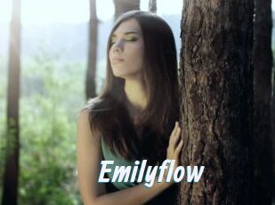 Emilyflow