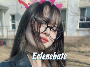Erlenebate