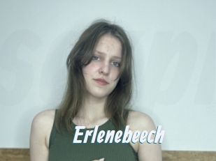 Erlenebeech