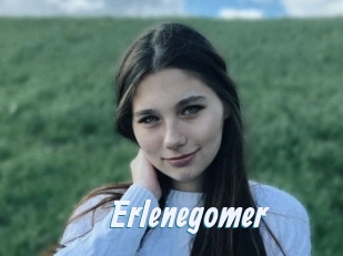 Erlenegomer