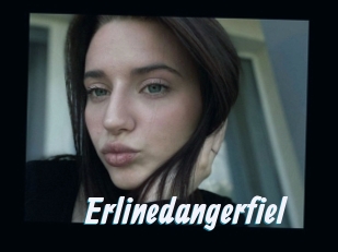 Erlinedangerfiel