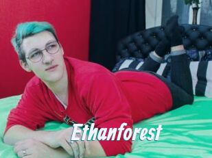 Ethanforest