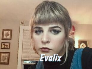 Evalix
