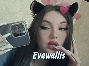 Evawallis
