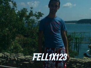 FELL1X123