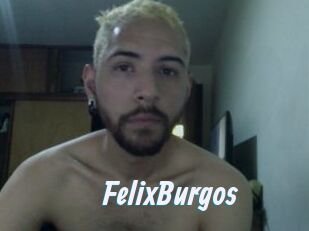 FelixBurgos