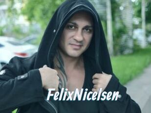 FelixNicelsen