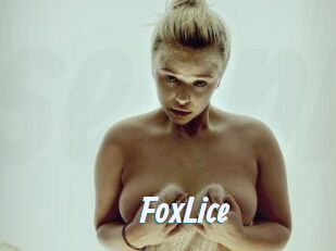 FoxLice