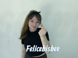 Felicebisbee