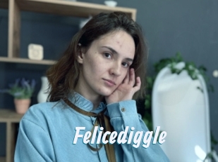 Felicediggle