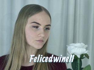 Felicedwinell