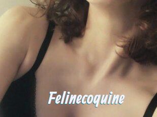 Felinecoquine