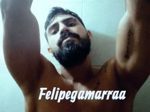 Felipegamarraa