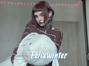 Felixwinter