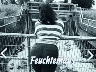 Feuchtemaus