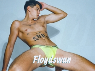 Floydswan