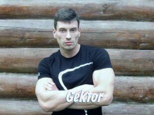 Gektor