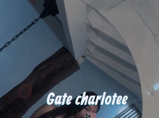 Gate_charlotee