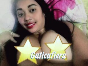 Gaticafiera