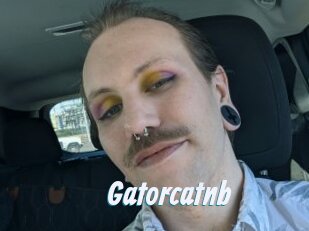 Gatorcatnb