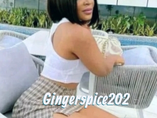 Gingerspice202