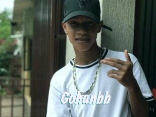 Gohanbb