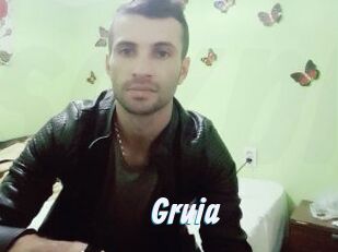 Gruia