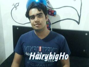 HairybigHo