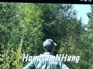 HandsumNHung