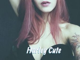 Harley_Cute