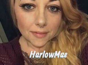 Harlow_Mae