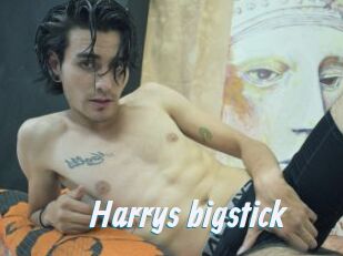 Harrys_bigstick