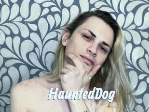 HauntedDog
