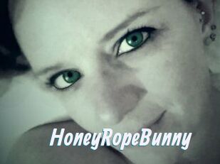 HoneyRopeBunny