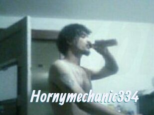 Hornymechanic334