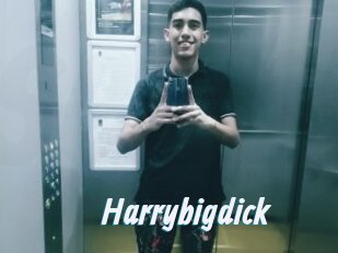 Harrybigdick