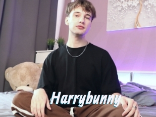 Harrybunny