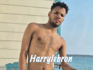 Harrylebron