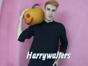 Harrywalters