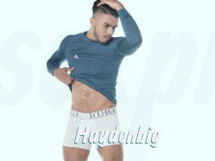 Haydenbig