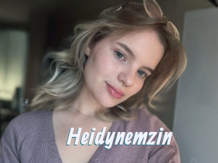 Heidynemzin