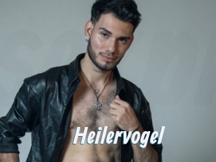 Heilervogel