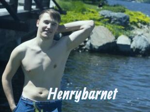 Henrybarnet