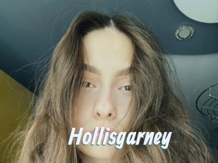 Hollisgarney