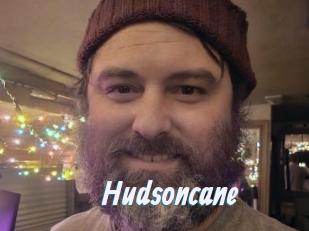 Hudsoncane