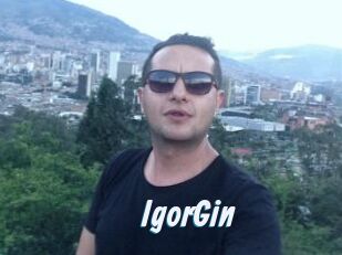 IgorGin
