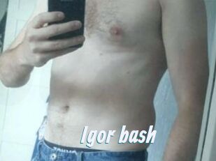 Igor_bash