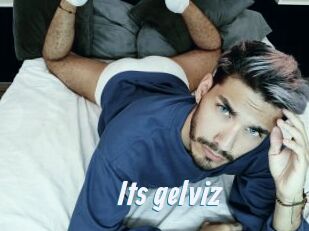 Its_gelviz