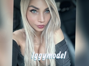 Iggymodel
