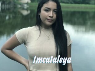 Imcataleya